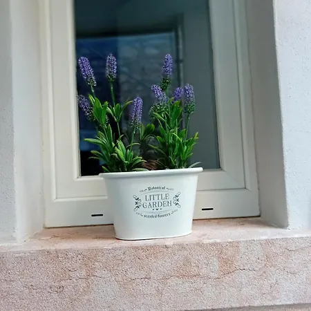 Ferienwohnung La Casa Di Ursula Toscolano-Maderno Exterior foto